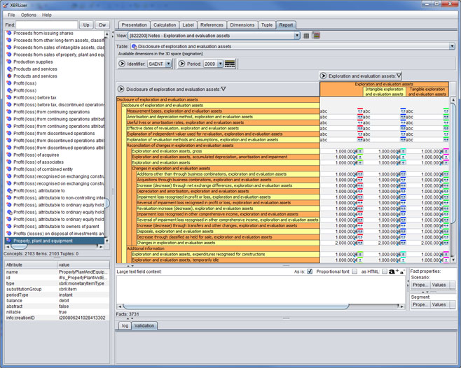 XBRL Report Editor